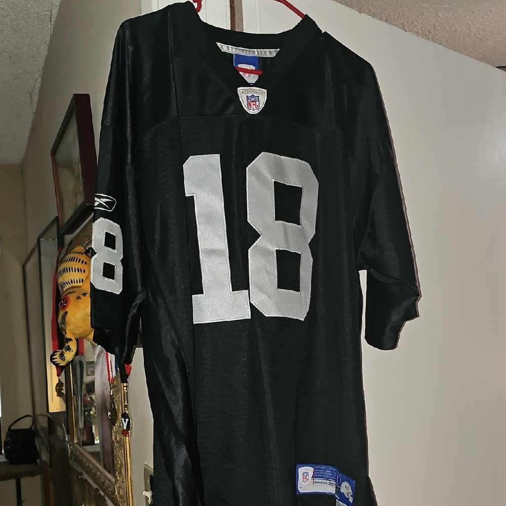 Raiders NFL Jersey
